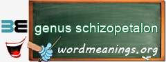 WordMeaning blackboard for genus schizopetalon